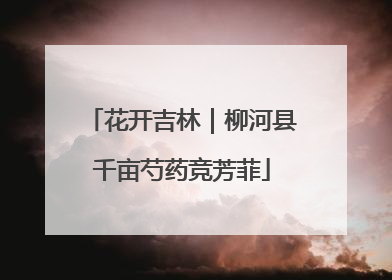 花开吉林｜柳河县千亩芍药竞芳菲