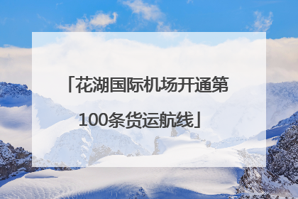 花湖国际机场开通第100条货运航线
