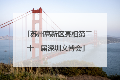 苏州高新区亮相第二十一届深圳文博会