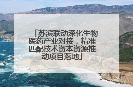 苏滨联动深化生物医药产业对接，精准匹配技术资本资源推动项目落地