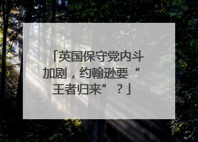 英国保守党内斗加剧，约翰逊要“王者归来”？