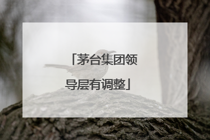茅台集团领导层有调整