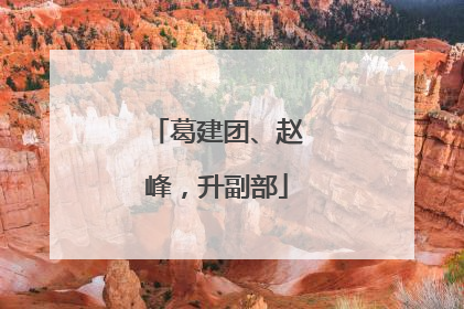 葛建团、赵峰，升副部