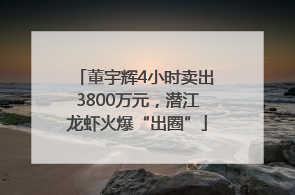 董宇辉4小时卖出3800万元，潜江龙虾火爆“出圈”