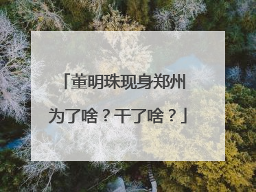 董明珠现身郑州 为了啥？干了啥？
