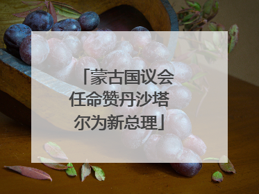 蒙古国议会任命赞丹沙塔尔为新总理