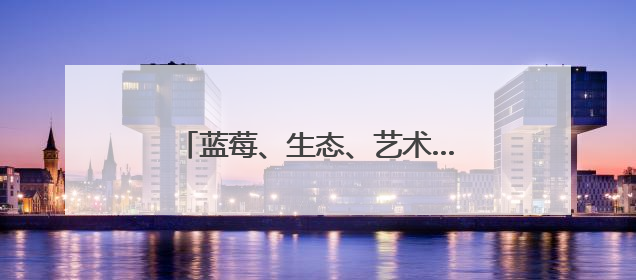 蓝莓、生态、艺术……记者实探张家楼乡村振兴“三重奏”