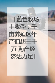 蓝色牧场丰收季：千亩养殖区年产值超三千万 海产经济活力足
