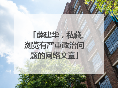 薛建华，私藏、浏览有严重政治问题的网络文章