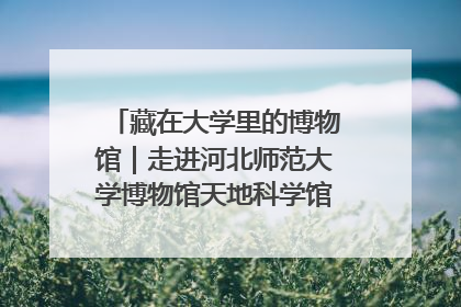 藏在大学里的博物馆｜走进河北师范大学博物馆天地科学馆：在校园里赴一场“宇宙之约”