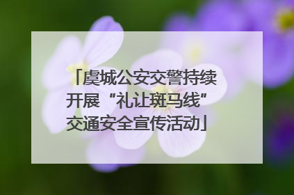 虞城公安交警持续开展“礼让斑马线”交通安全宣传活动