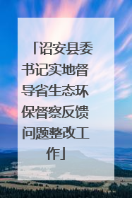 诏安县委书记实地督导省生态环保督察反馈问题整改工作
