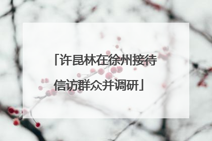 许昆林在徐州接待信访群众并调研