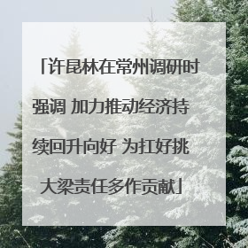 许昆林在常州调研时强调 加力推动经济持续回升向好 为扛好挑大梁责任多作贡献