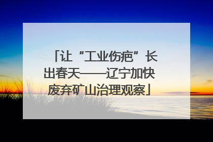 让“工业伤疤”长出春天——辽宁加快废弃矿山治理观察