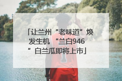让兰州“老味道”焕发生机 “兰白946”白兰瓜即将上市