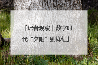 记者观察｜数字时代“夕阳”别样红