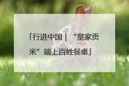 行进中国｜“皇家贡米”端上百姓餐桌