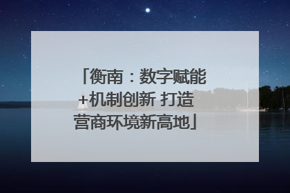 衡南：数字赋能+机制创新 打造营商环境新高地