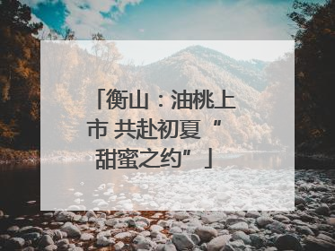 衡山：油桃上市 共赴初夏“甜蜜之约”