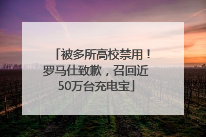 被多所高校禁用！罗马仕致歉，召回近50万台充电宝