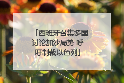 西班牙召集多国讨论加沙局势 呼吁制裁以色列