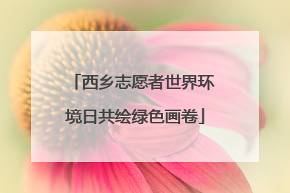 西乡志愿者世界环境日共绘绿色画卷