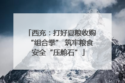 西充：打好夏粮收购“组合拳” 筑牢粮食安全“压舱石”