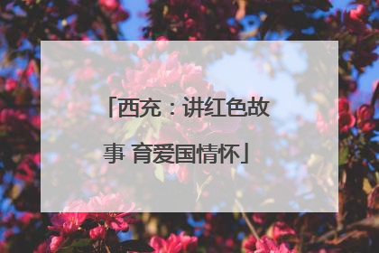 西充：讲红色故事 育爱国情怀