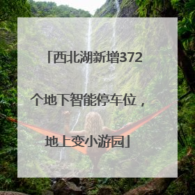 西北湖新增372个地下智能停车位，地上变小游园