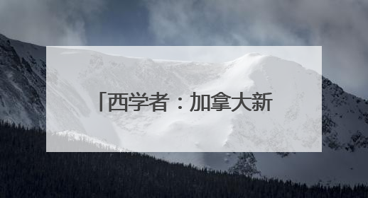 西学者：加拿大新政带给欧洲的启示