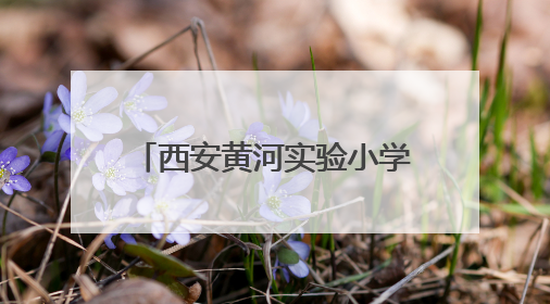 西安黄河实验小学举办STEM主题“科创活动日”
