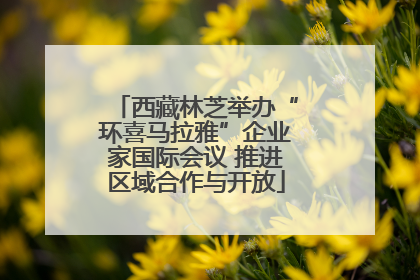 西藏林芝举办“环喜马拉雅”企业家国际会议 推进区域合作与开放
