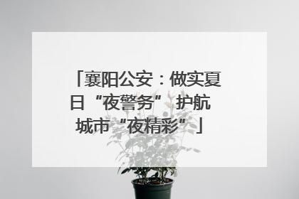 襄阳公安：做实夏日“夜警务” 护航城市“夜精彩”