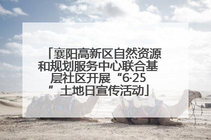 襄阳高新区自然资源和规划服务中心联合基层社区开展“6·25”土地日宣传活动