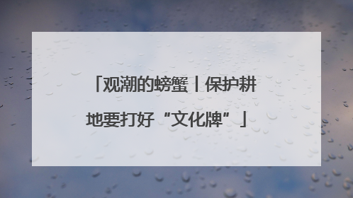 观潮的螃蟹丨保护耕地要打好“文化牌”