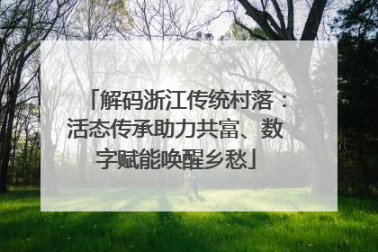 解码浙江传统村落：活态传承助力共富、数字赋能唤醒乡愁