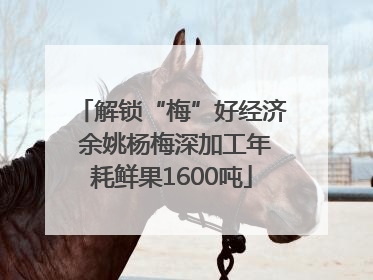解锁“梅”好经济 余姚杨梅深加工年耗鲜果1600吨
