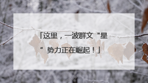 这里，一波群文“星”势力正在崛起！