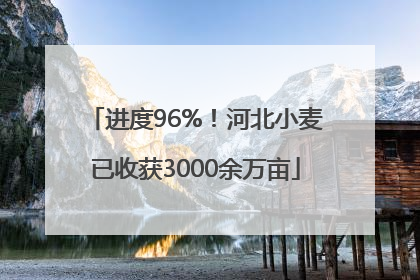 进度96%！河北小麦已收获3000余万亩