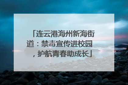 连云港海州新海街道：禁毒宣传进校园，护航青春助成长