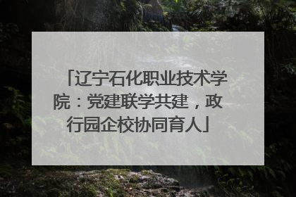 辽宁石化职业技术学院：党建联学共建，政行园企校协同育人