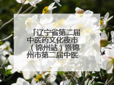 辽宁省第二届中医药文化夜市（锦州站）暨锦州市第二届中医康养夜市启幕