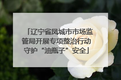 辽宁省凤城市市场监管局开展专项整治行动守护“油瓶子”安全