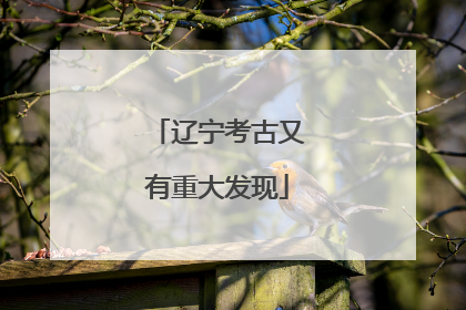 辽宁考古又有重大发现