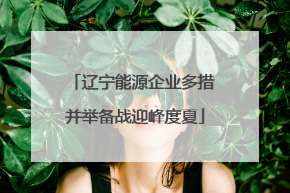辽宁能源企业多措并举备战迎峰度夏
