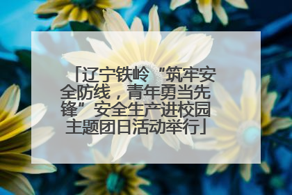 辽宁铁岭“筑牢安全防线，青年勇当先锋”安全生产进校园主题团日活动举行