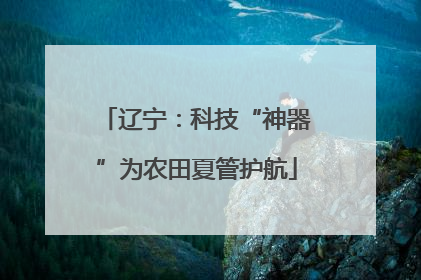 辽宁：科技“神器”为农田夏管护航