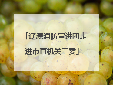 辽源消防宣讲团走进市直机关工委