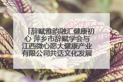 辞赋雅韵融汇健康初心 萍乡市辞赋学会与江西微心愿大健康产业有限公司共话文化发展新篇（图）
